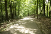 Enlarge photo 124