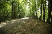 Enlarge photo 125