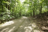 Enlarge photo 126