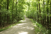 Enlarge photo 127