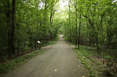 Enlarge photo 128