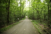 Enlarge photo 129