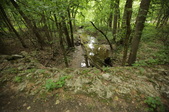 Enlarge photo 131