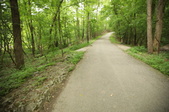 Enlarge photo 132