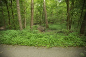 Enlarge photo 133