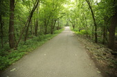 Enlarge photo 134