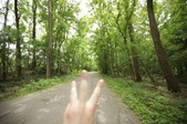 Enlarge photo 135
