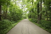 Enlarge photo 137