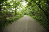 Enlarge photo 138