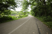 Enlarge photo 139