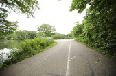 Enlarge photo 141
