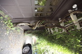 Enlarge photo 73