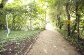 Enlarge photo 87
