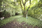 Enlarge photo 88