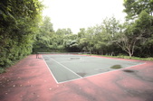 Enlarge photo 90