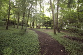Enlarge photo 100