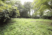 Enlarge photo 102