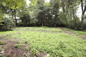 Enlarge photo 103