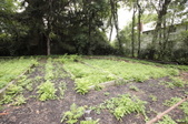Enlarge photo 105