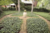 Enlarge photo 113