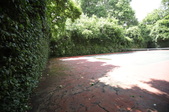 Enlarge photo 42