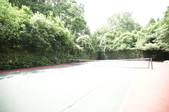 Enlarge photo 53