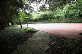 Enlarge photo 54