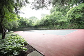Enlarge photo 55