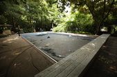 Enlarge photo 60