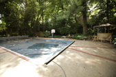 Enlarge photo 62