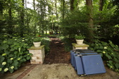 Enlarge photo 63
