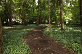 Enlarge photo 65