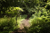Enlarge photo 66