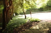 Enlarge photo 68