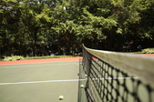 Enlarge photo 69