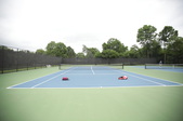 Enlarge photo 46