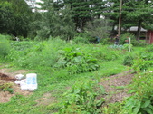Enlarge photo 2