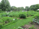 Enlarge photo 11