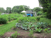 Enlarge photo 10