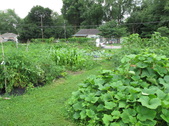 Enlarge photo 14