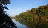 Enlarge photo 28