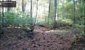 Enlarge photo 34