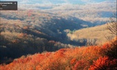 Enlarge photo 37