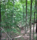 Enlarge photo 36