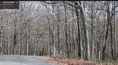 Enlarge photo 40