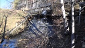Enlarge photo 25