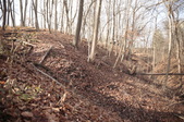 Holliday Park