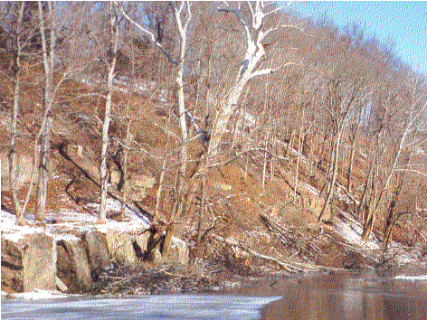 Enlarge photo 17