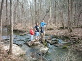 Enlarge photo 7