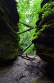 Enlarge photo 27